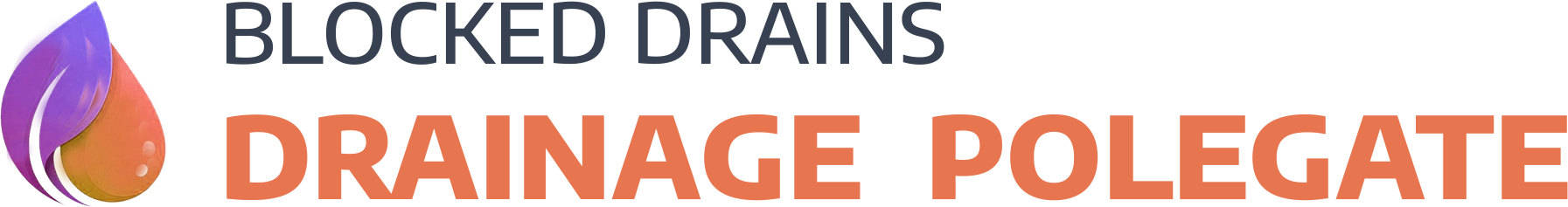 website logo